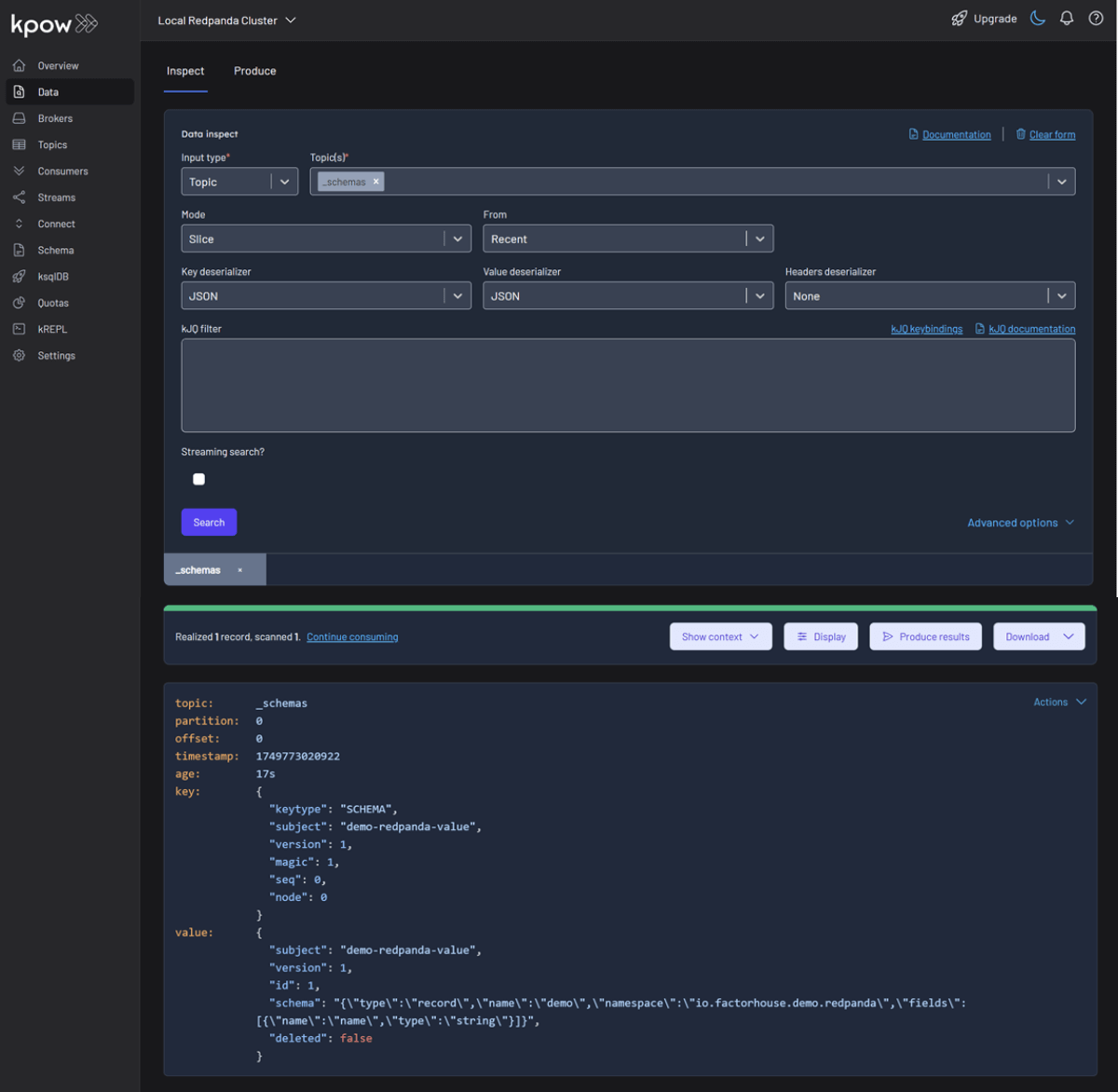 Inspect Schema Records